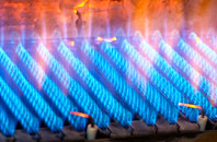 Shalden gas fired boilers
